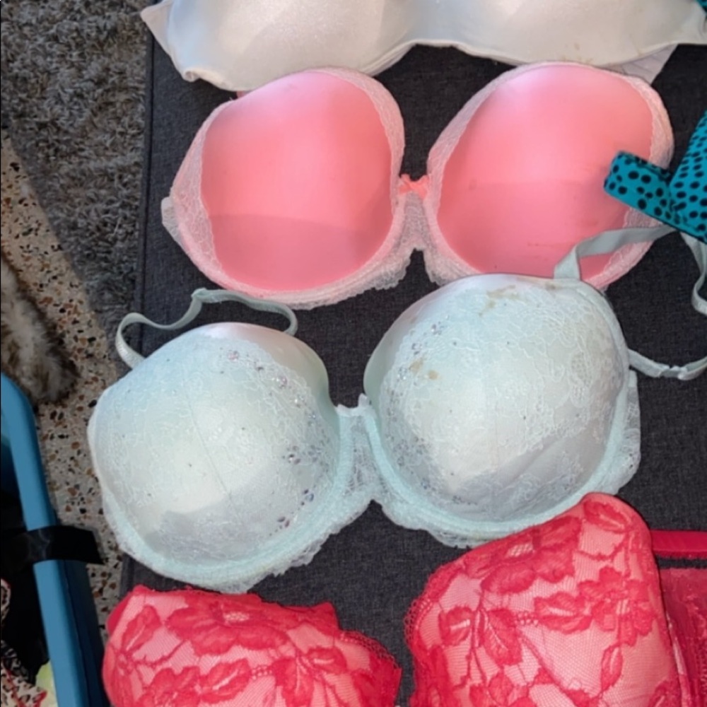 Victoria secret and lane Bryant bras
